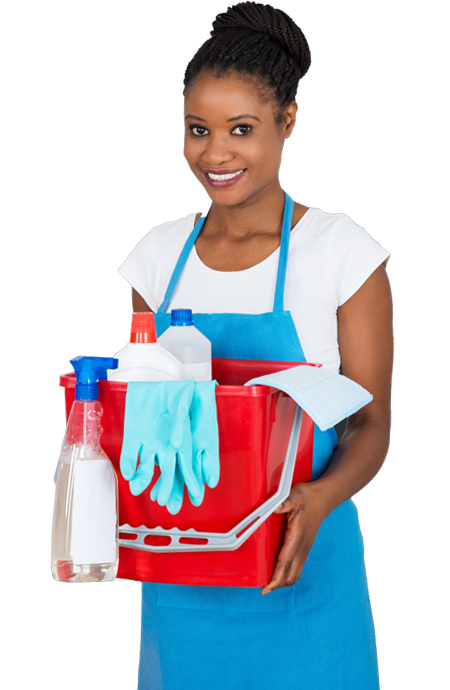 Cleaning Service Maid